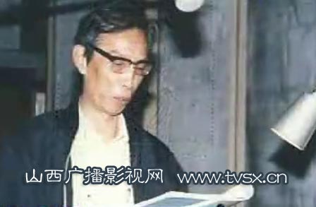 “威震天”杨文元
